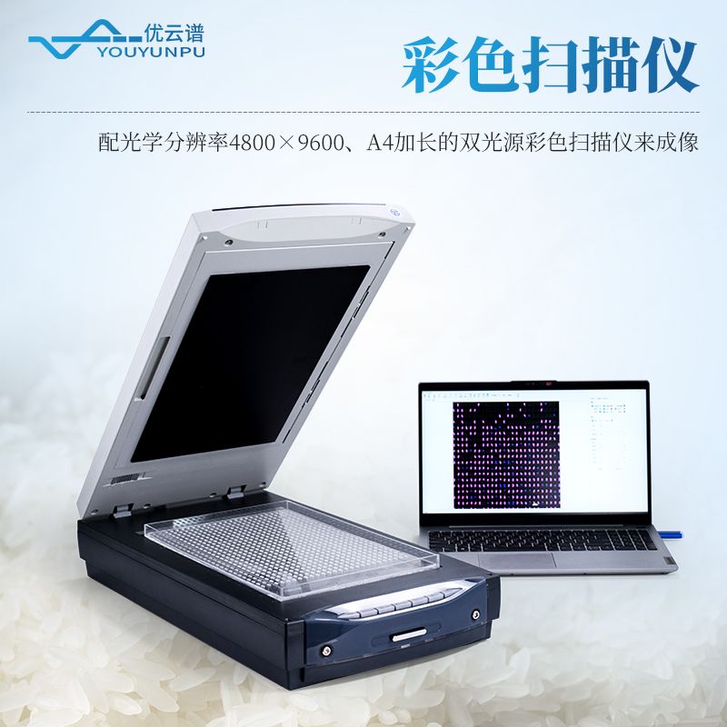 大米外觀品質檢測儀